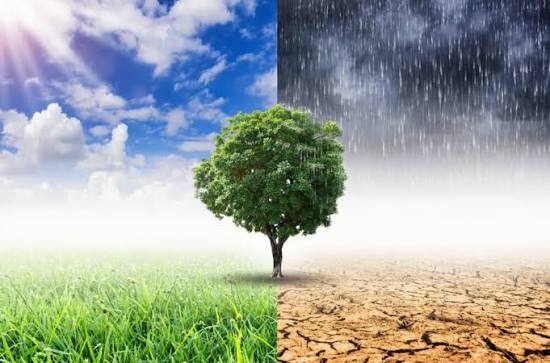 REPORT ON THE WEBINAR ON CLIMATE CHANGE HELD ON THE 16TH OF JUNE, 2026