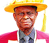 Engr. Prof. I. O. Oladapo, NNOM, OON